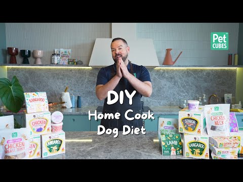 Home-cooked Dog Diet - What is a good home-cooked dog food recipe?