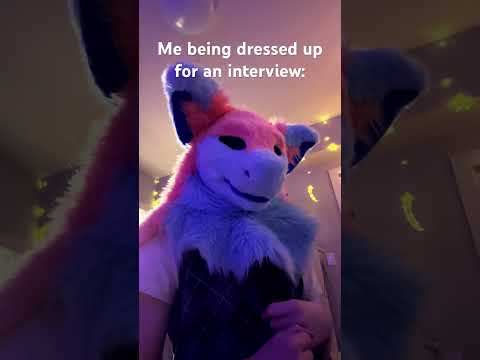 Pajamas. For an interview?? #funny #meme #furry #cosplay #costume #fursona #fursuit #furries #memes