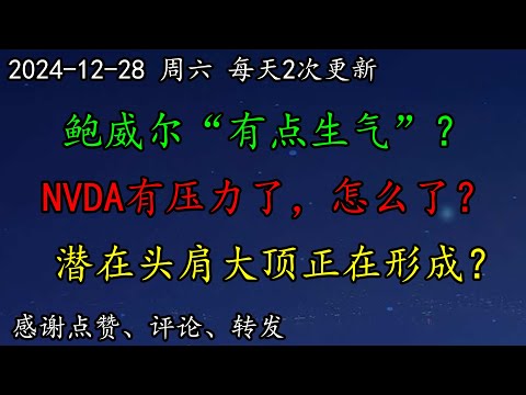 美股 鲍威尔“有点生气”，啥事儿？NVDA有压力了，怎么了？BTC大户MSTR还要跌吗？MSFT、META潜在头肩大顶正在形成？CRWD、DJT、CCL、MSFT、DELL、AVGO、MU、META