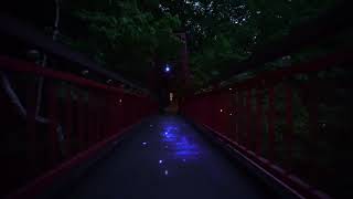 JOZANKEI NATURE LUMINARIE STAR BRIGHT FOREST