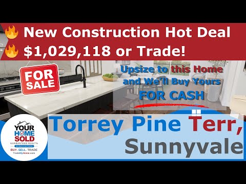 New Construction Home on Torrey Pine Terrace, Sunnyvale