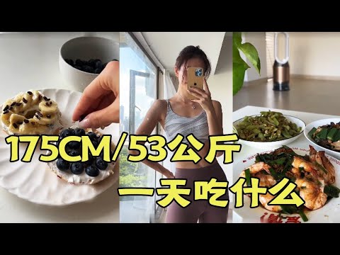 【合集】一天175_53kg吃什么——荤素均衡，注意营养