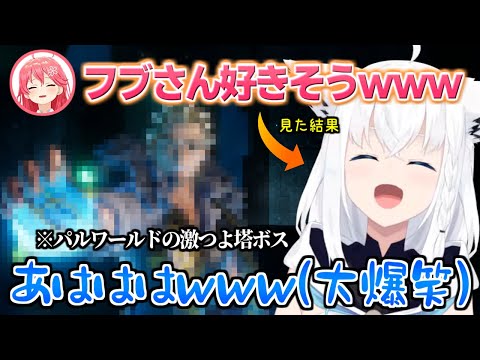 塔ボスがみこちに言われた通り好みキャラクターで大爆笑するフブちゃん