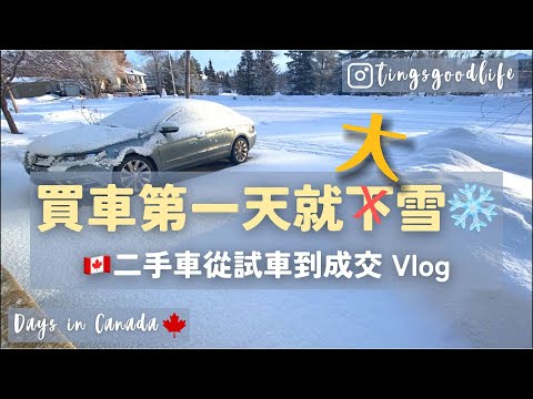 Vlog｜Days in Canada 🇨🇦no.5｜在Edmonton沒車怎麼辦？一票到底的輕軌和公車、從試車到買下二手車、買回家第一天就下大雪❄️