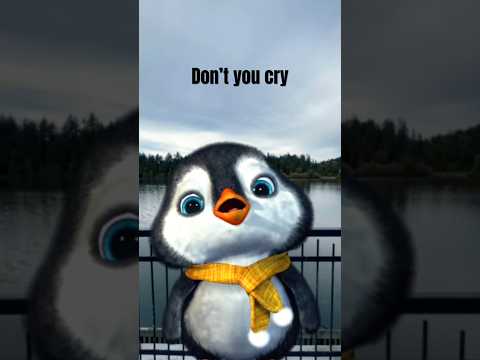 Do not cry 🥺 #hushlittlebaby #dontcry #byyourside #hug #puffpuff #socute #adorable #babypenguin