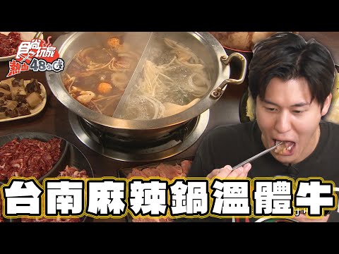 【台南】麻辣鍋溫體牛 涮出新高度【食尚玩家熱血48小時】20241206 (4/4)