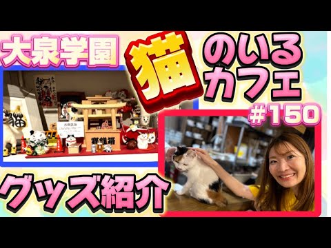 【なんと！台湾かき氷も！グッズも魅力！】カフェモフリーその４　ロードふじみch#１５０