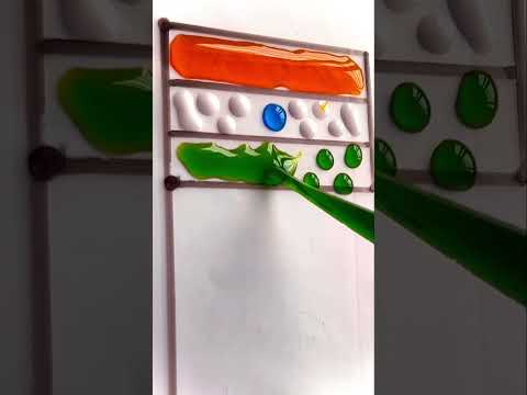 India flag | Des Rangila| Jai Hind #indian #independenceday  #indianflag #viral #trendingshorts