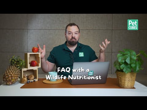 FAQ with a Wildlife Nutritionist Part 1 | Commonly asked questions about your pets' nutrition!