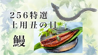 256特選　土用丑の日 2024