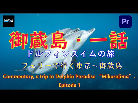 Live Streaming: Journey to Mikurajima, Episode 1