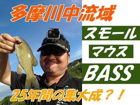 (多摩川＋スモールマウスバス)多摩川バス釣り=初GET！