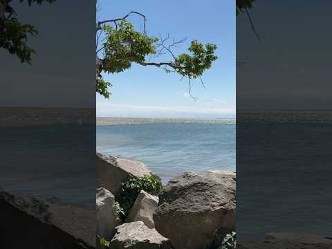 The convergence of sediment-laden water with clearer water of Lake Erie at Point Pelee in Canada!