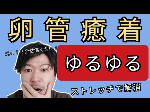 【これで解決！】《卵管癒着》はお腹ゆるゆるストレッチで解消しましょう！#卵管摘出 #卵管癒着　#卵巣チョコレート嚢胞