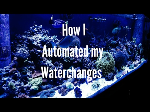 How I automated my Water Changes