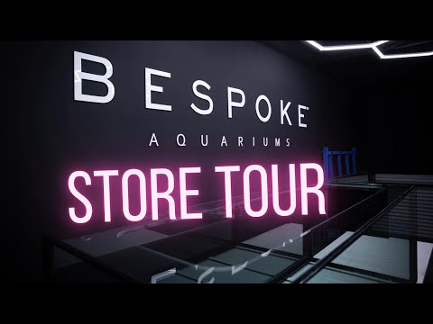 Bespoke Aquariums - Store Tour