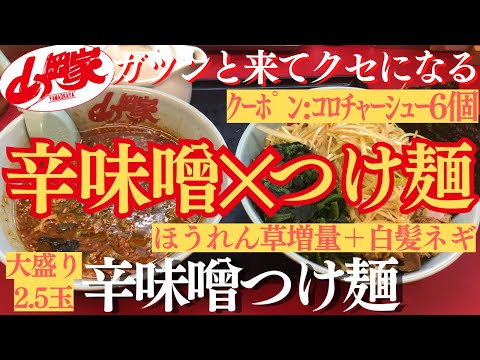 【ラーメン山岡家】辛味と酸味が抜群の辛味噌(●´ω｀●)2.5玉で辛味噌を堪能🍜♪【岐阜 ラーメン】