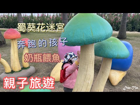 【親子旅遊】台南學甲蜀葵花季｜超美迷宮花園｜台南一日遊｜學甲景點｜鼠尾草百日草｜用奶瓶餵魚的熱門景點?!