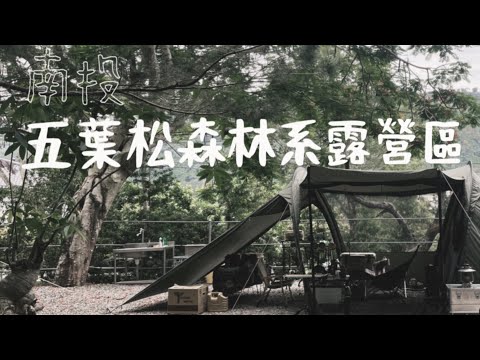 露營VLOG | 夏日避暑 | 唯美森林系營區 | 糯米橋石灶松林 | 自由之魂 | 雲途 | yoto plus