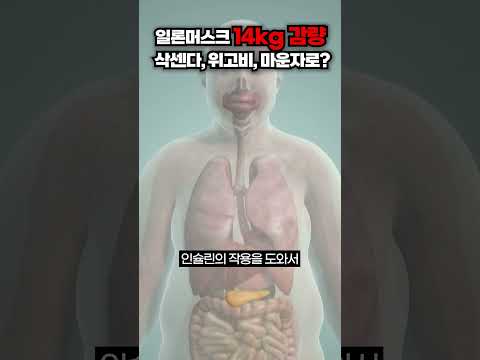 일론머스크 14kg 감량 삭센다,위고비,마운자로?