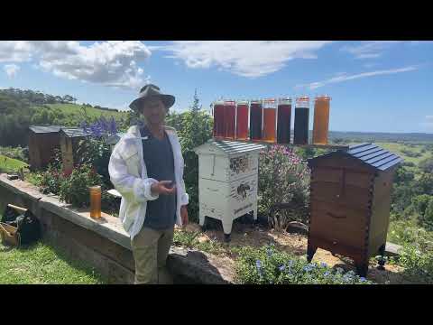 Honey Month harvest ��