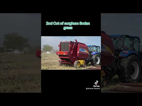 Wrapping up Last cutting of Sudan grass #shortsvideo #farming #tractor #agriculture