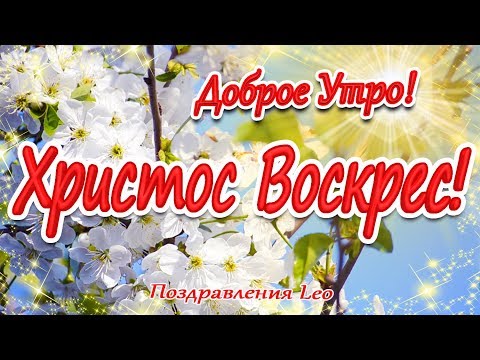 Со Светлым Праздником Пасхи! Доброе Утро! Счастья! Здоровья! Радости! Божьей Любви!