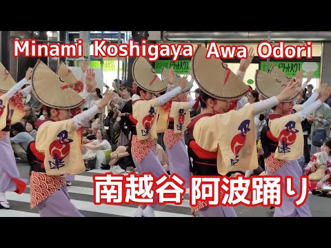 南越谷阿波踊り　Minami Koshigaya Awa Odori Festival