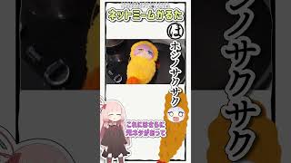 ネットミームかるた #1011 ホシノサクサク #Shorts