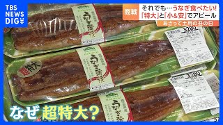 「土用の丑の日」物価高でも…あの手この手の“うなぎ商戦”　大手スーパーの目玉は「超特大」｜TBS NEWS DIG