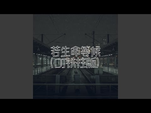 若生命等候（DJ铁柱版）