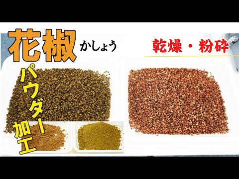 【スパイスを粉末化】花椒をパウダー加工