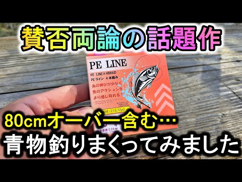 真冬にダイソーPEで釣りをしたら、堤防のヌシが掛かってドラグ爆鳴りの緊急事態に…