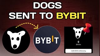 Dogs Coin Airdrop : How to Send To Bybit Successfully