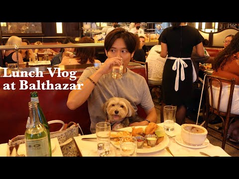 【NYフレンチレストラン】かわいい犬と癒しグルメとご馳走ランチ🐶🍽✨