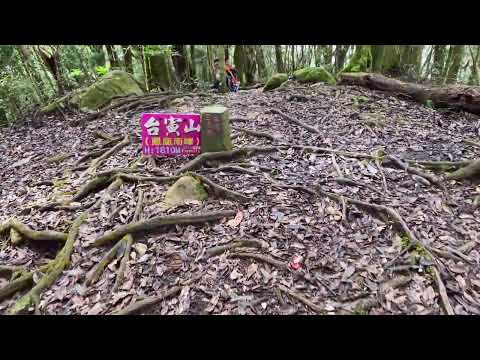 鳳凰山北嶺健行 North Ridge Hiking：歇腳亭→第一、二土地公佑安→第三涼亭→台寅山17℃→廣闊茶園朦朧美景→溪頭天文台→1090、857、第一賞鳥步道藍腹鷳特寫 2024年8月26日