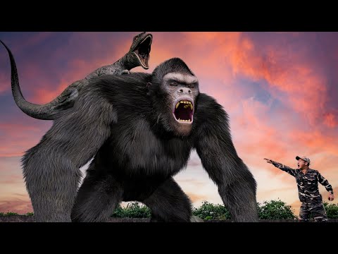 King Kong VS  Velociraptor | Kingdom of the Planet of the Apes VS Jurassic Park 4 |  Kong 2