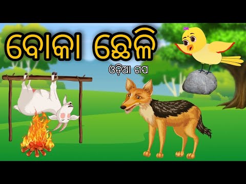 ବୋକା ଛେଳି | Boka Chheli | Tiki Chadhei | Odia Gapa | Chadhei Gapa