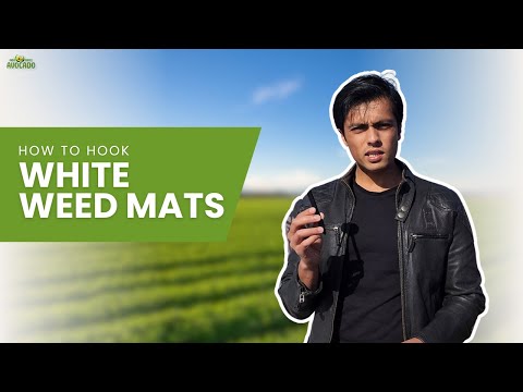 Problems with installing White Weed Mat | +91-6268643227 | Indo Israel Avocado Vlog 167