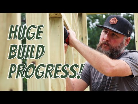 The WALLS on this BUILD are CLOSING IN | DIY |Shed To House Conversion