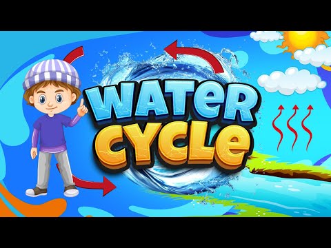 Water Cycle | Science Lesson Educational Video  | How does rain form? | The Water Cycle Process