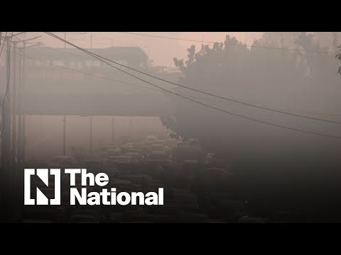 'An incurable disease': New Delhi residents suffer another day of toxic pollution