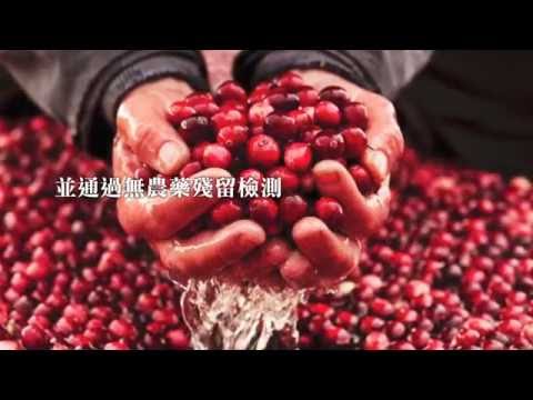 里仁與加拿大農友合作 - 蔓越莓的故事