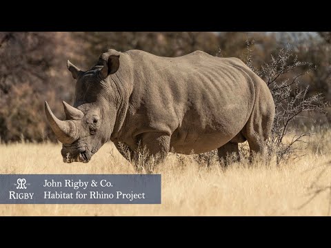 John Rigby & Co. Habitat for Rhino Project