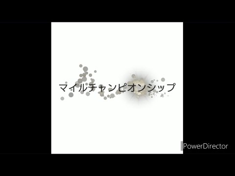 【競馬予想】マイルチャンピオンシップ 2023