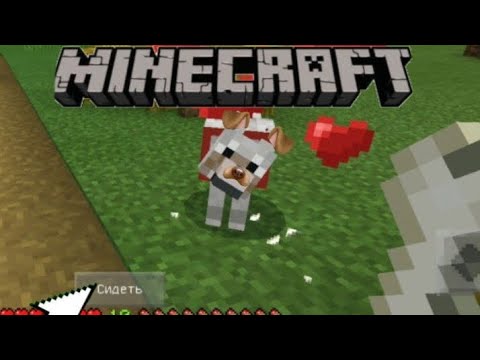 Приручила собаку в Minecraft|| Minecraft выживание #3