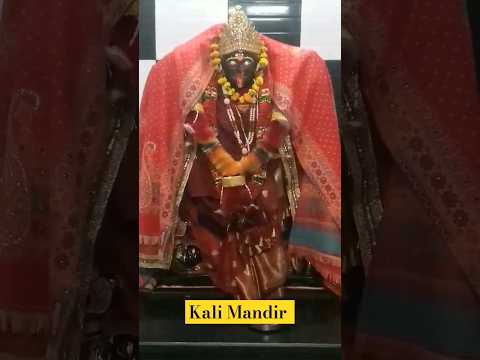 Jai Mata di🙏 #kali #matarani #prayagraj #mandir #temple #shorts #bhajan #vaishnodevi #youtubeshorts