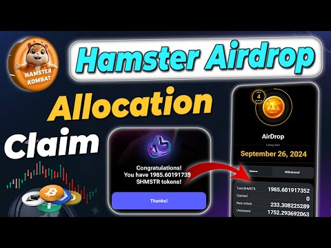 Hamster allocation claim | Hamar kombat Airdrop Allocation check #hamsterkombat