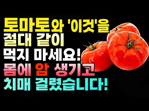 토마토 제발 '이것'과 함께 아침에 드세요! 독소와 온갖 질병 싹 사라집니다! 건강 정보 | 음식 효능 | 다이어트음식