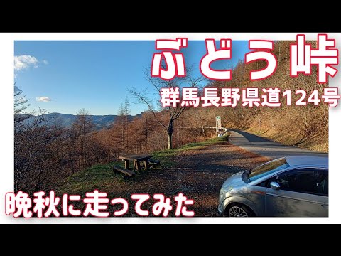 【ドライブ動画】群馬•長野県道124号 ぶどう峠　晩秋に走ってみた。